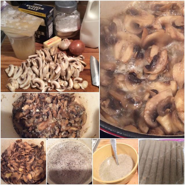 Processed with MOLDIV