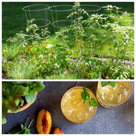 Processed with MOLDIV