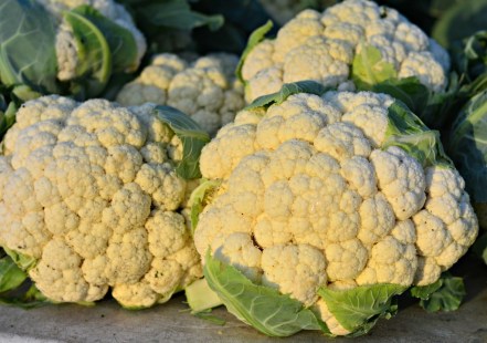 cauliflower-1024x719.jpg