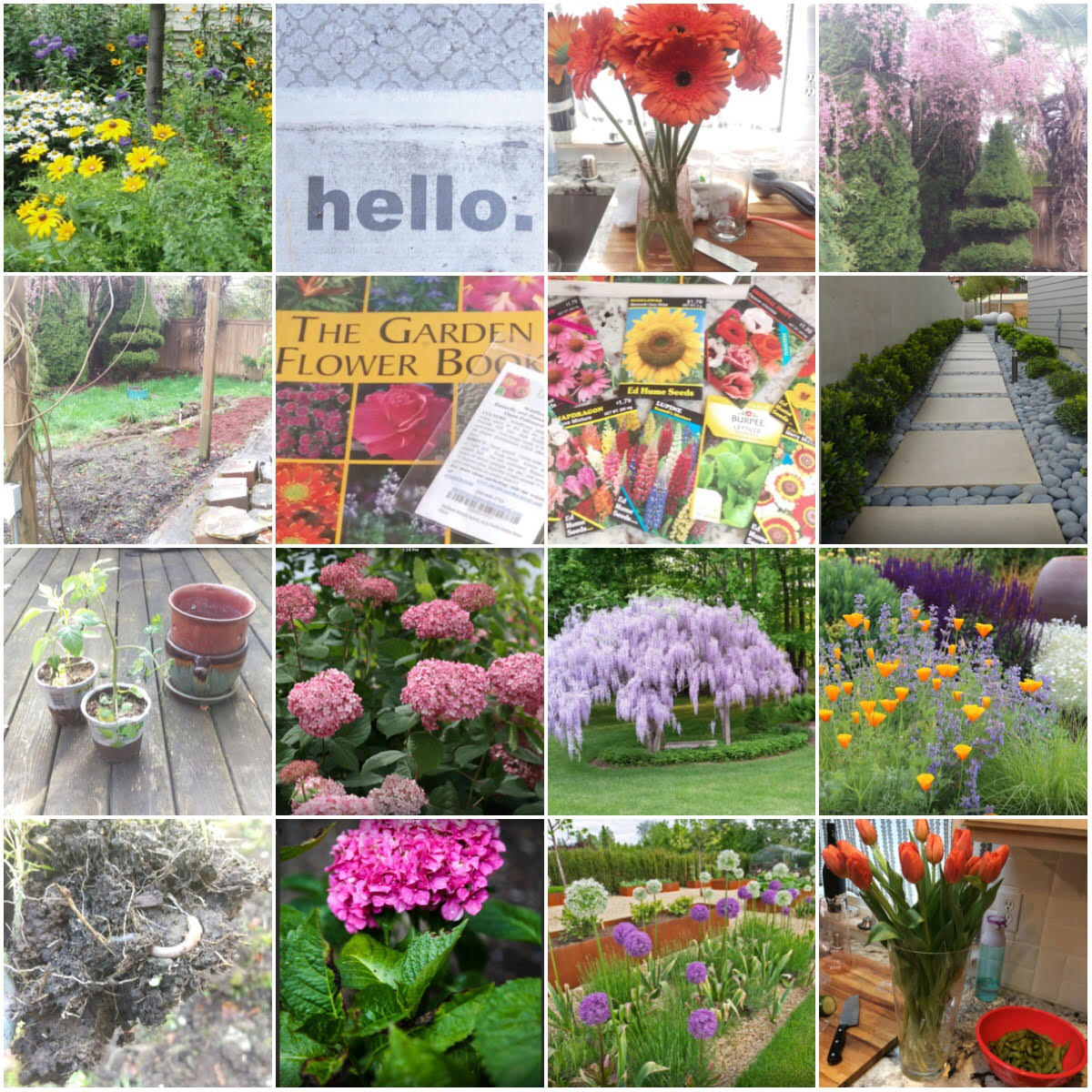 Grow a great cutting garden | Real Life of an MSW