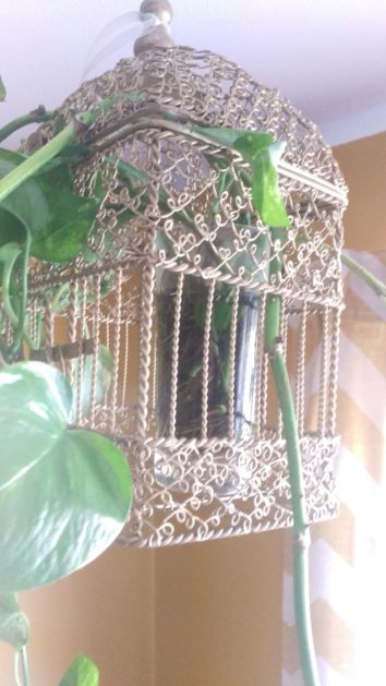 9CCA485B-2080-49FA-96D9-D535C8F9817F