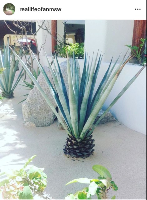 5aef16d2-be7f-484d-b7b4-6fb945b051c5