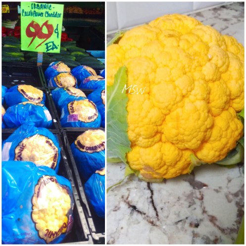 Processed with MOLDIV