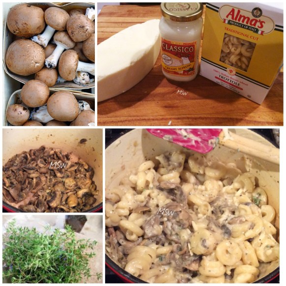 Processed with MOLDIV