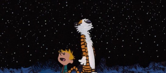 95706961-AD99-429C-B19C-9295A7B300DE