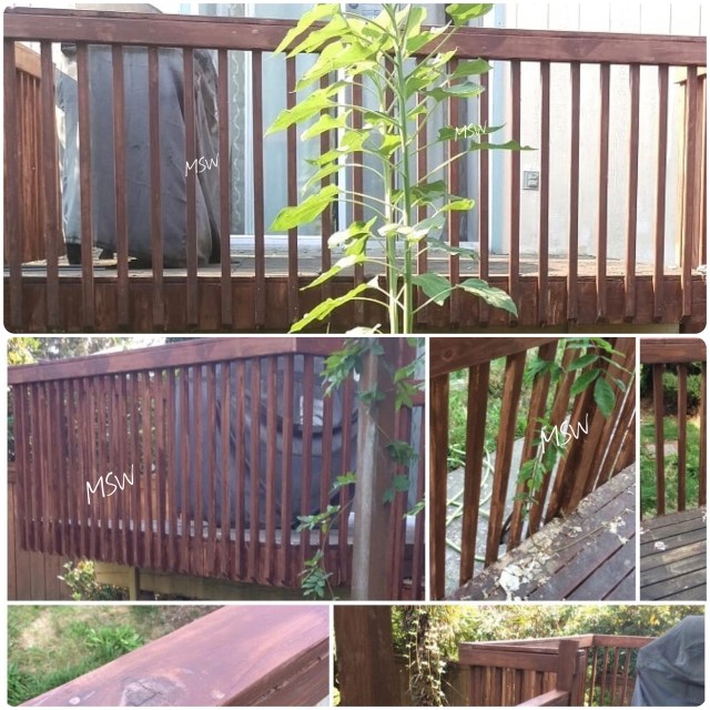 Processed with MOLDIV