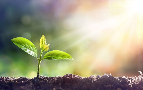 Hormone Replacement | Refresh Life Wellness | United States