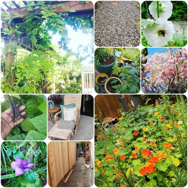 Processed with MOLDIV