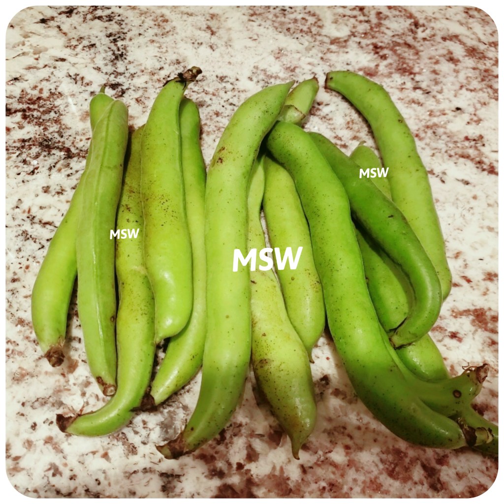 This image has an empty alt attribute; its file name is 61b08bfc-af0b-4b21-861d-6d2f3c1e94f9.jpeg